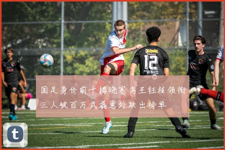 国足身价前十揭晓塞鸟王钰栋领衔三人破百万武磊意外跌出榜单